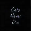 Cats Never Die - Diary, Pt. 2